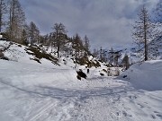 29 Risaliti sull'alto della diga proseguiamo in ambiente ben innevato 